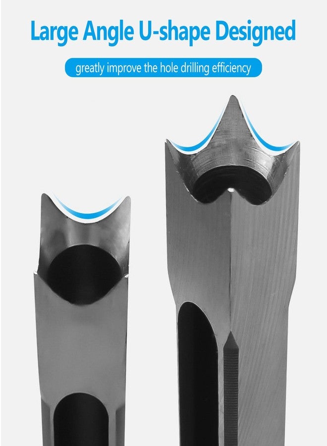 Inditrust مثقاب منشار ثقب مربع من إنديتراست، قطعة واحدة، إزميل نقر للخشب لأعمال النجارة، أداة حفر نقر، مثقاب نقر بقطر حفر (5/16 بوصة (8 مم)) - Image 3